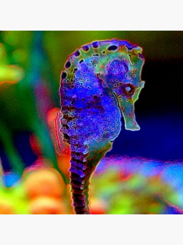 SEAHORSE by michaeltodd