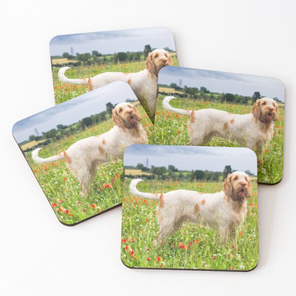Item preview, In the poppies Spinone designed and sold by FOLK ART FUSION.