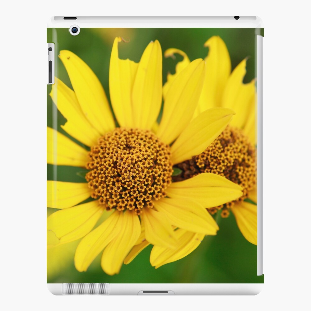 Oxeye bouquet iPad Case & Skin