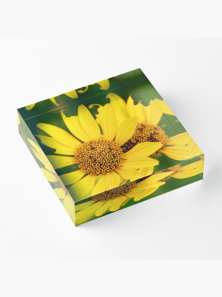 Alternate view of Oxeye bouquet Acrylic Block