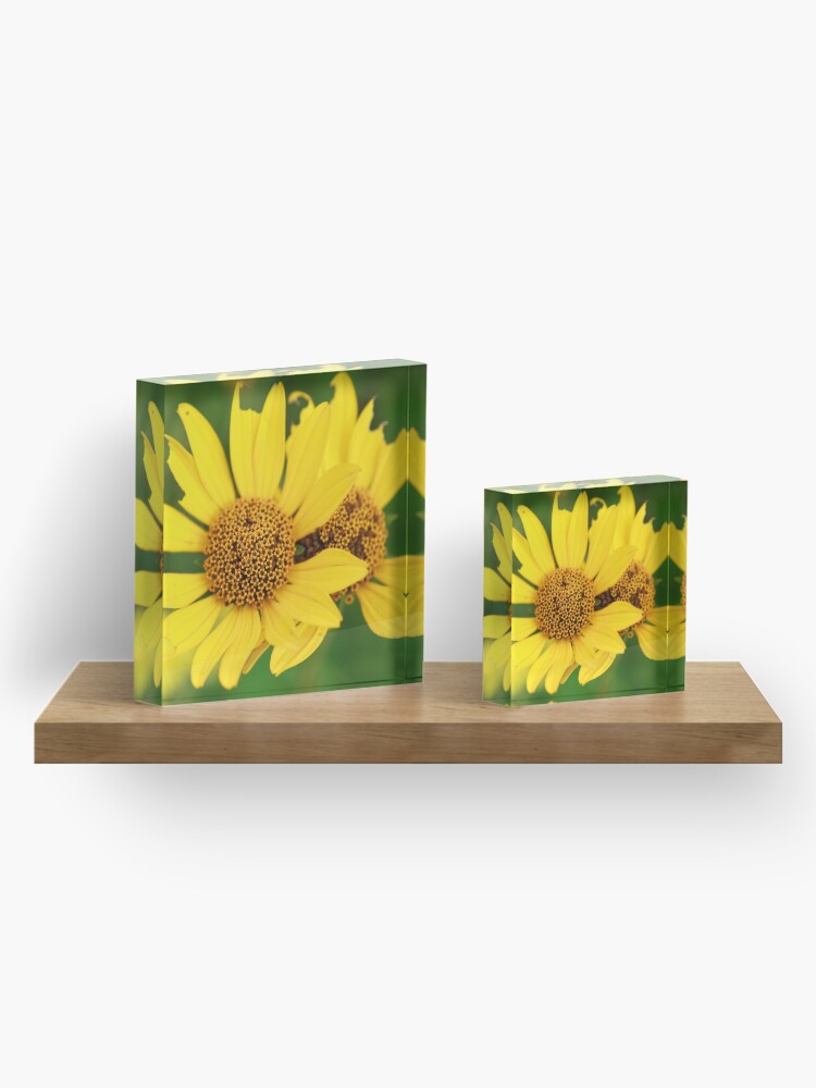 Alternate view of Oxeye bouquet Acrylic Block