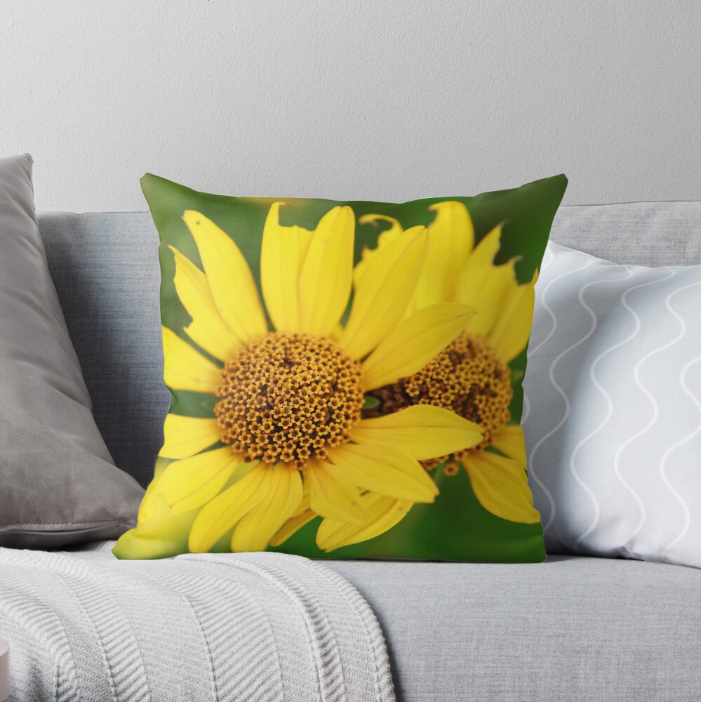 Oxeye bouquet Throw Pillow