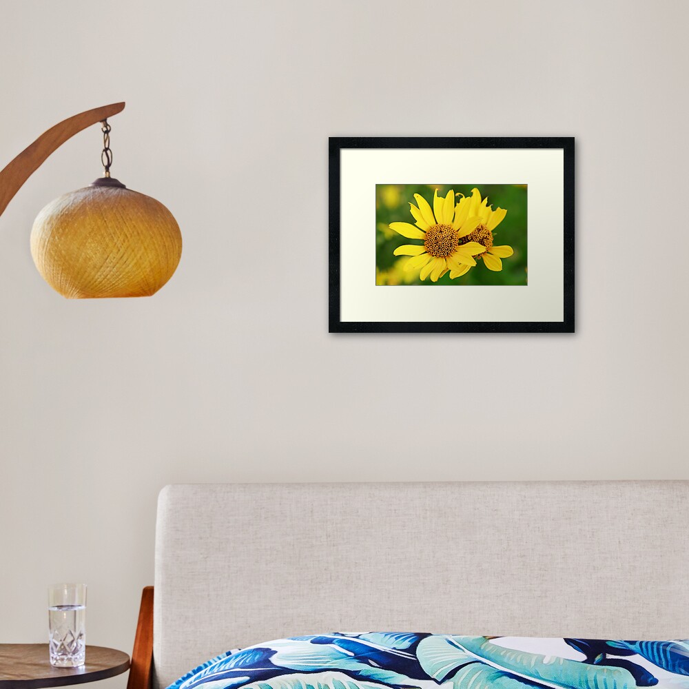 Oxeye bouquet Framed Art Print