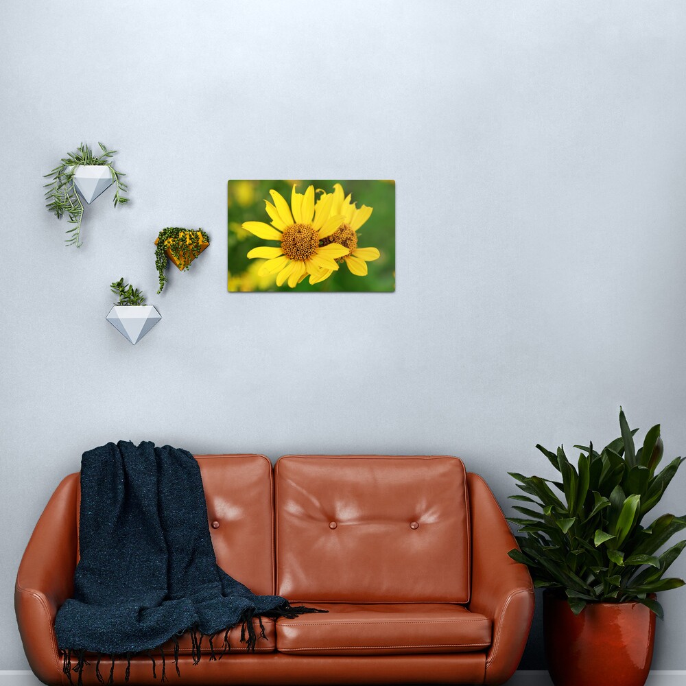 Oxeye bouquet Metal Print