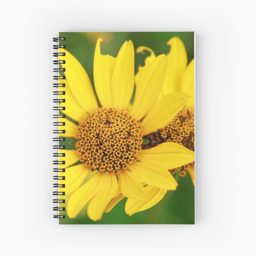 Oxeye bouquet Spiral Notebook