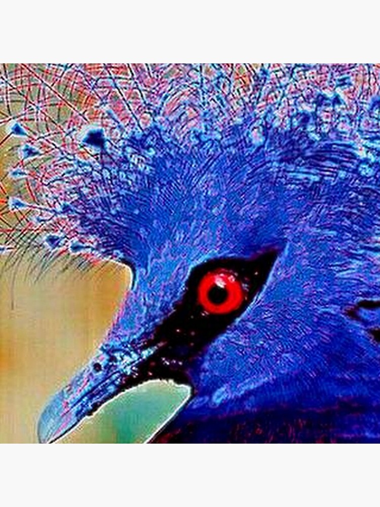PEACOCK BIRD by michaeltodd
