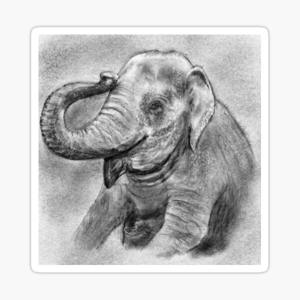 Charcoal Elephant Sticker