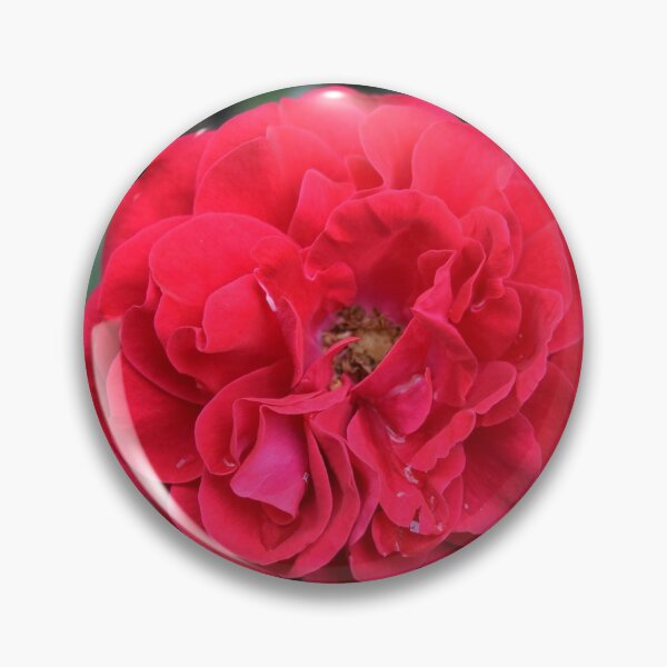 Artikelvorschau, Red Rose entworfen und verkauft von Linnys-Designs.