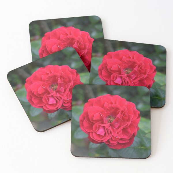 Item preview, Red rose designed and sold by Linnys-Designs.