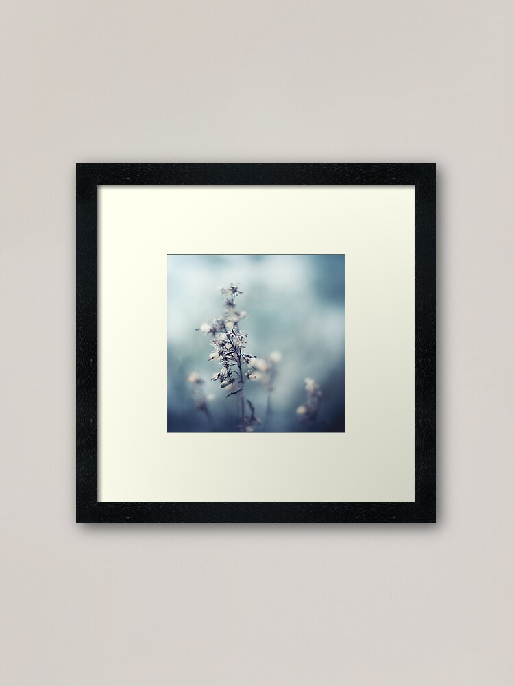 Thumbnail 1 of 7, Framed Art Print, Winter Flowers designed and sold by jennykarlsson.