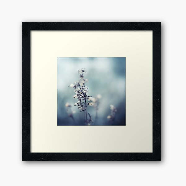 Winter Flowers Framed Art Print