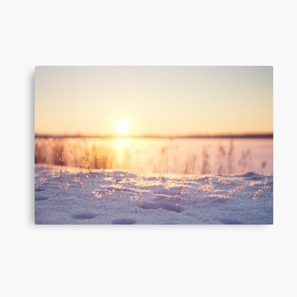 Snow Glow Canvas Print