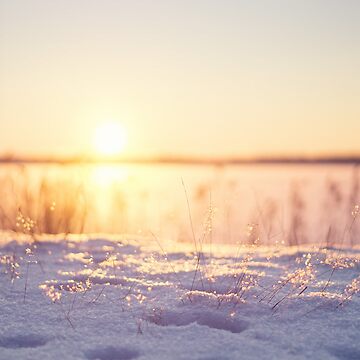 Artwork thumbnail, Snow Glow by Jenny Karlsson