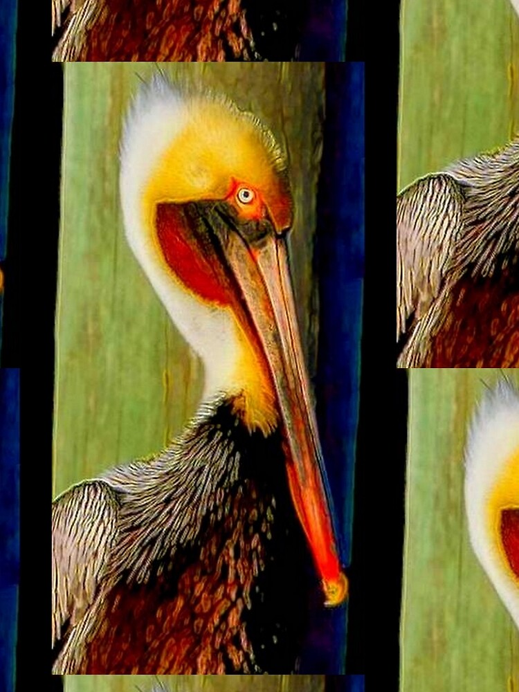 PELICAN by michaeltodd