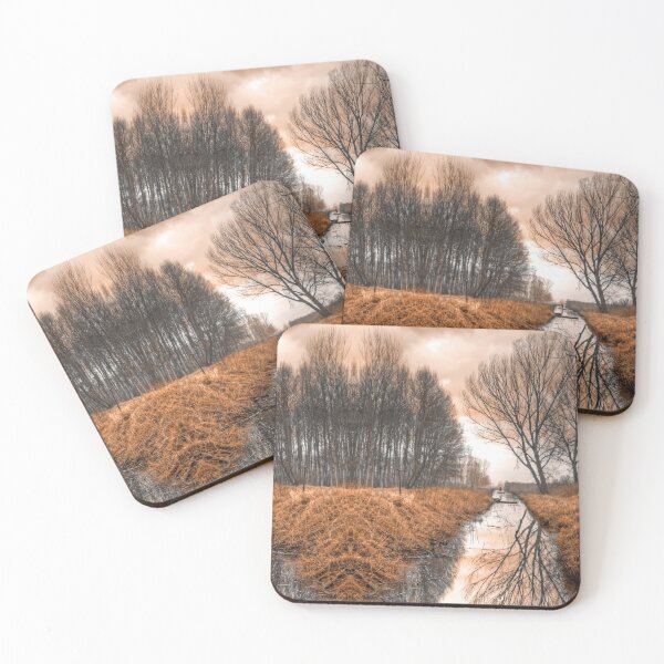 Item preview, specular rower in  swamp, trees reflection in water. Monochromatic brown designed and sold by Flavio Vieri.
