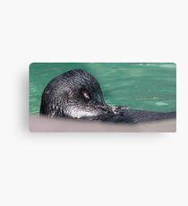 "Little Penguin" Metal Print