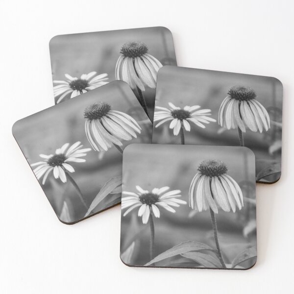 Item preview, Black and White: Pair of Black Eyed Susans designed and sold by Cory Clark.