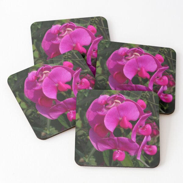 Item preview, Everlasting Sweet Pea designed and sold by wiggyofipswich.