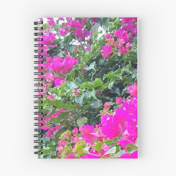 Artikelvorschau, Blumenrosa - Bougainvillea Blütenpflanze entworfen und verkauft von Susan Pfrender.