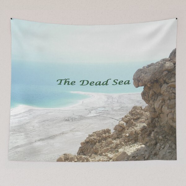 Item preview, The Dead Sea designed and sold by alexb1461.