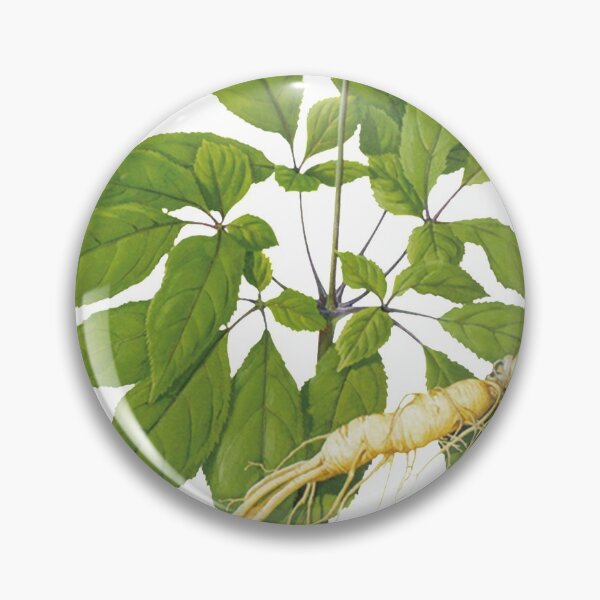 Item preview, Chinese Art Print - Ginseng with Root & Flower designed and sold by Kallandra.