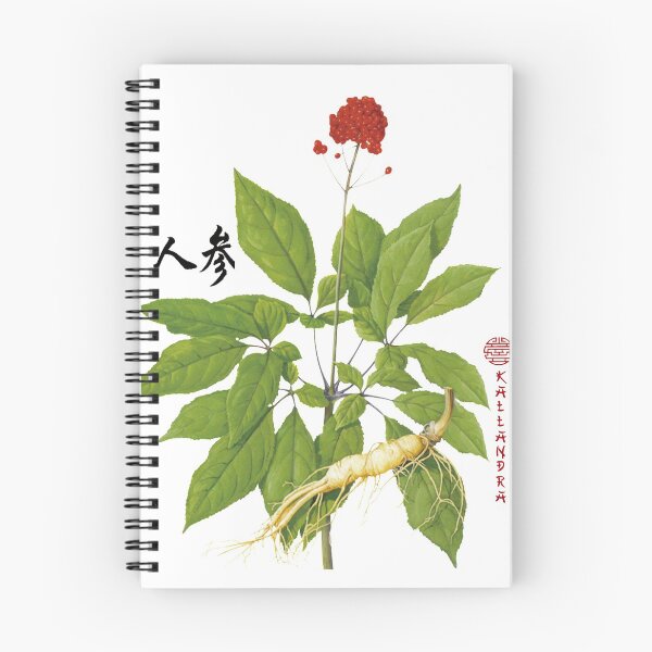 Item preview, Chinese Art Print - Ginseng with Root & Flower designed and sold by Kallandra.