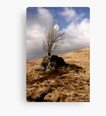 nature Canvas Print