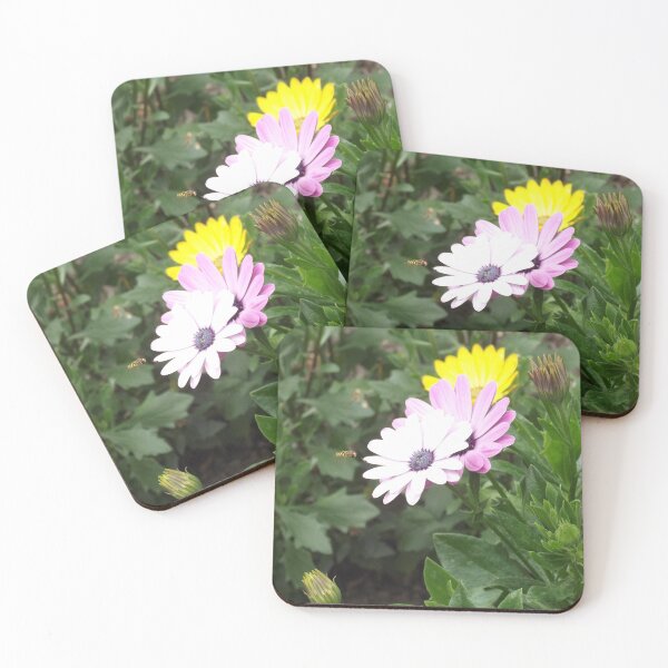 Item preview, Taste of the Sun designed and sold by MaFenVhenan.
