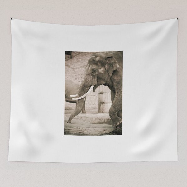 Item preview, Elephant designed and sold by Cvail73.