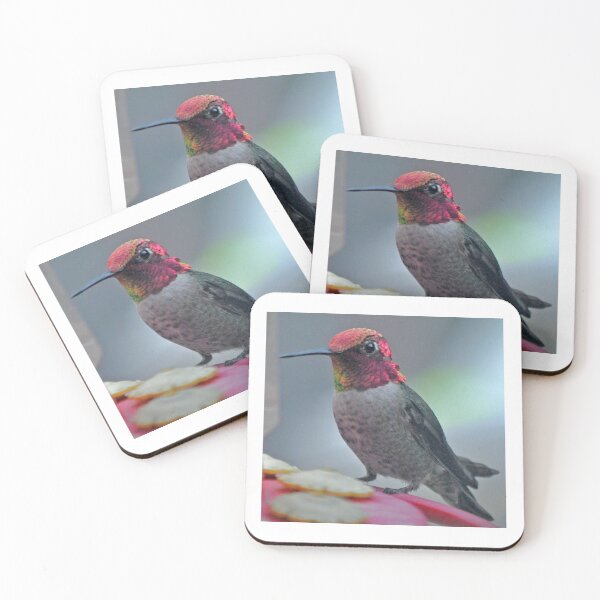 Item preview, MALE HUMMINGBIRD AT FEEDER designed and sold by JAYMILO.