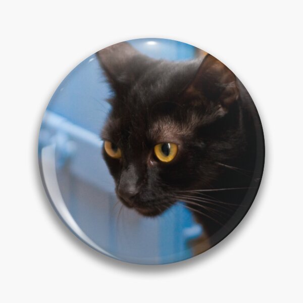 Item preview, Cat at the window designed and sold by Cvail73.