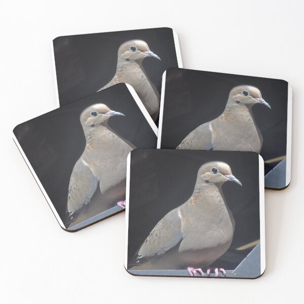 Item preview, MOURNING DOVE WACHING THE NEST designed and sold by JAYMILO.