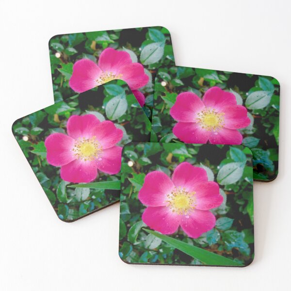 Item preview, Pink Rose designed and sold by Shulie1.