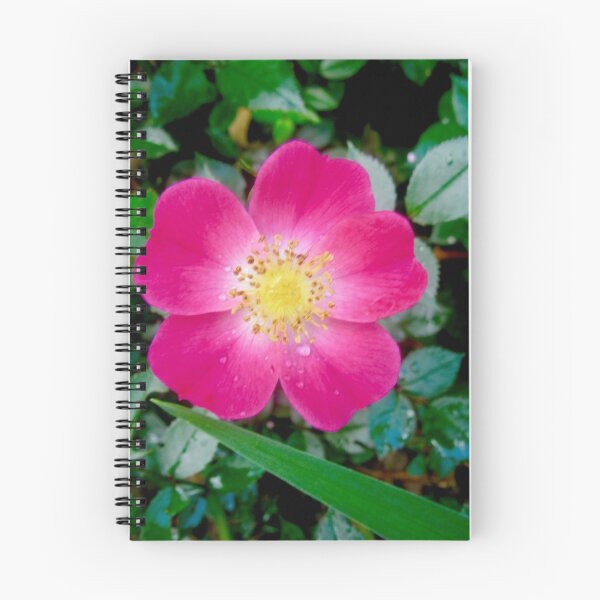 Item preview, Pink Rose designed and sold by Shulie1.