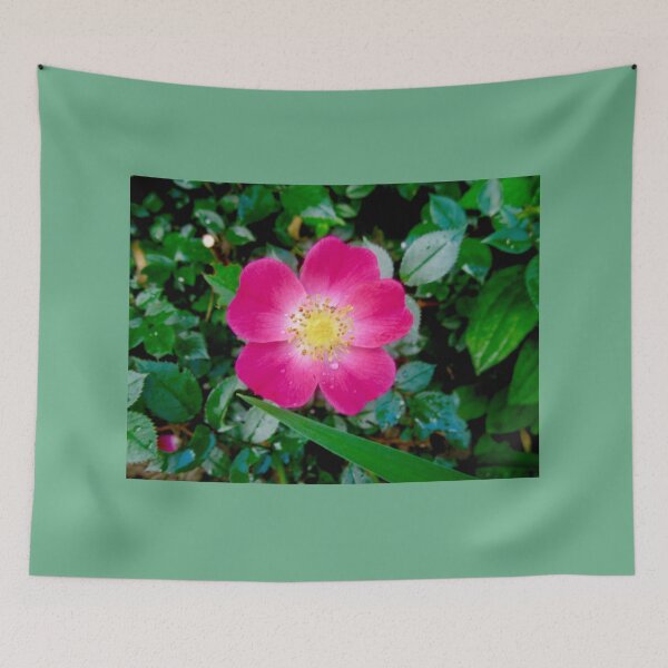 Item preview, Pink Rose designed and sold by Shulie1.