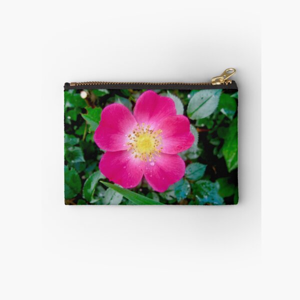Item preview, Pink Rose designed and sold by Shulie1.
