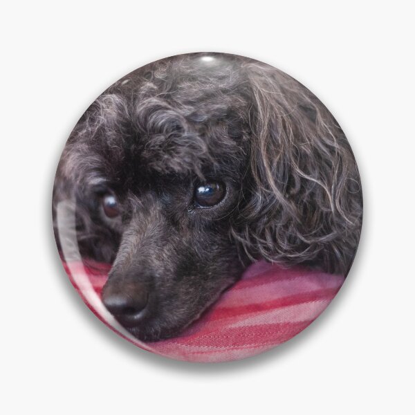 Item preview, this is comfy designed and sold by KensLensDesigns.