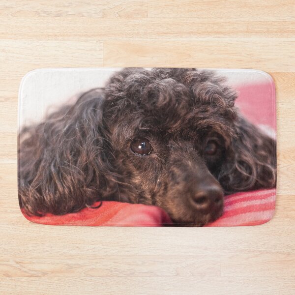 Item preview, I love your pillows designed and sold by KensLensDesigns.