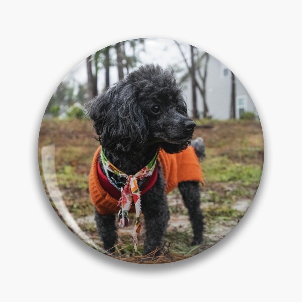 Item preview, Suburban dog designed and sold by KensLensDesigns.