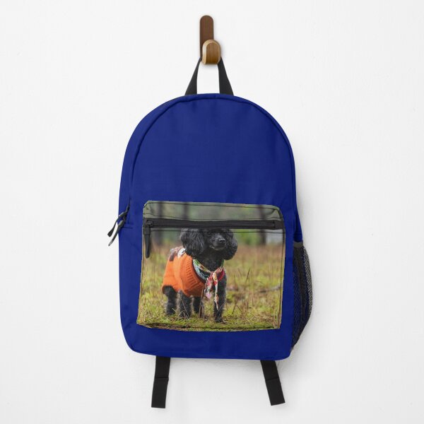 Item preview, Suburban poodles designed and sold by KensLensDesigns.