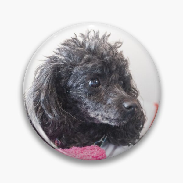 Item preview, toy loves a toy designed and sold by KensLensDesigns.