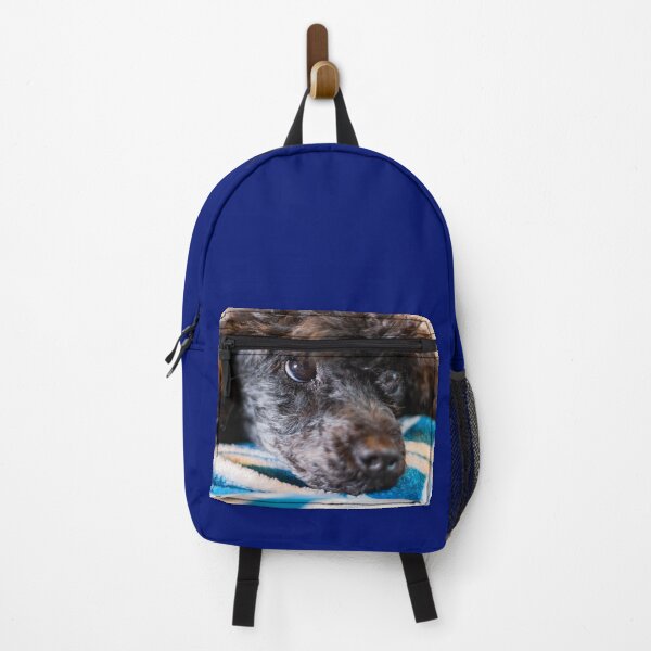 Item preview, I'm so comfy designed and sold by KensLensDesigns.