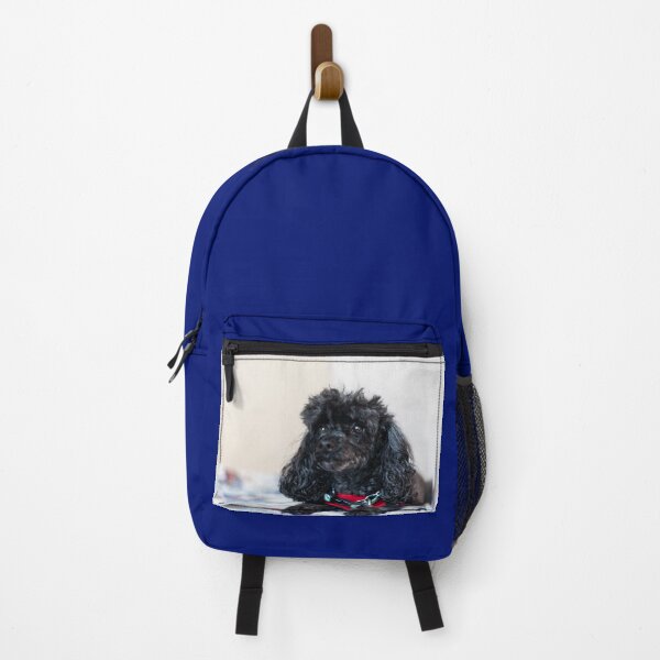 Item preview, Queen of the toy poodles designed and sold by KensLensDesigns.