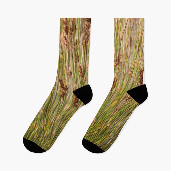 Item preview, Cape reed (Restio spp.) natural line perspective pattern. designed and sold by UrTops.
