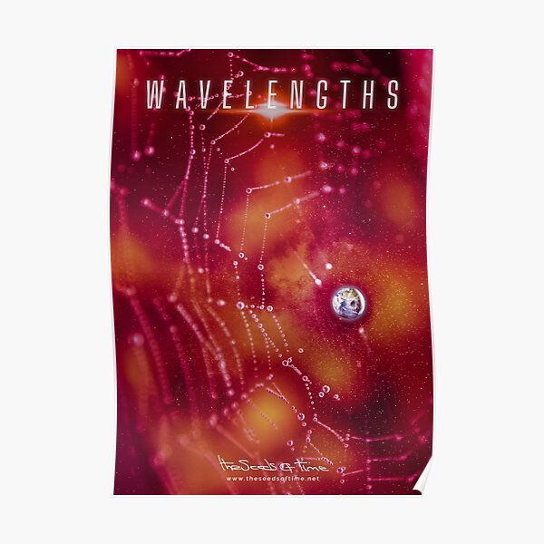 Tin Man - Wavelengths Poster