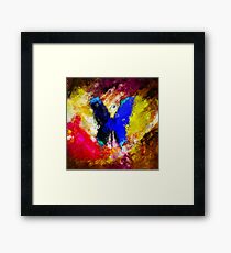 butterfly splash Framed Print