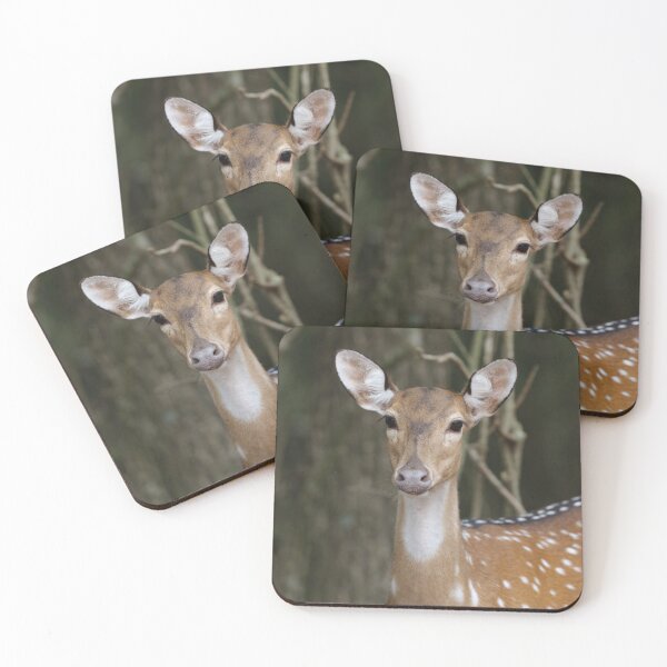 Item preview, Deer designed and sold by MelKowasic.