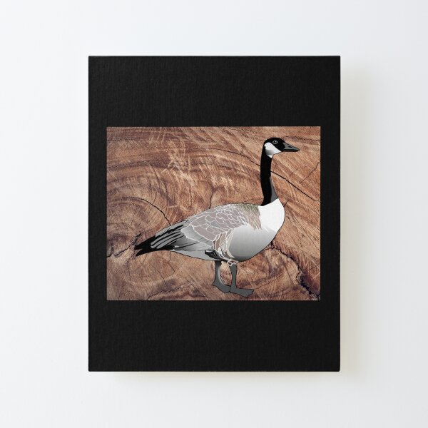 Canada Goose Canvas Mounted Print