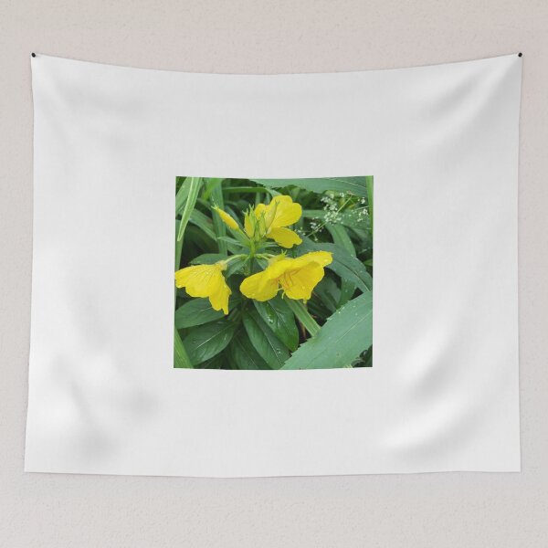 Item preview, Missouri prim roses designed and sold by Phooph1.
