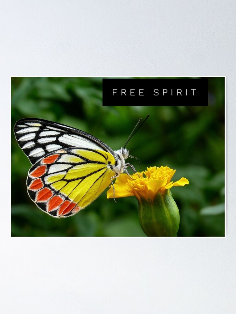 Poster Papillon Spirit Gratuit Par Got Ya Bak Redbubble